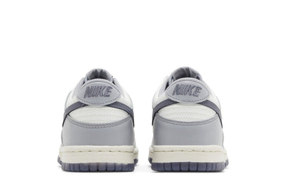 Tênis Nike Dunk Low Light Carbon Cinza
