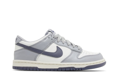 Tênis Nike Dunk Low Light Carbon Cinza